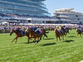 Home Affairs Lightning Stakes - Expert Horse Racing Tips