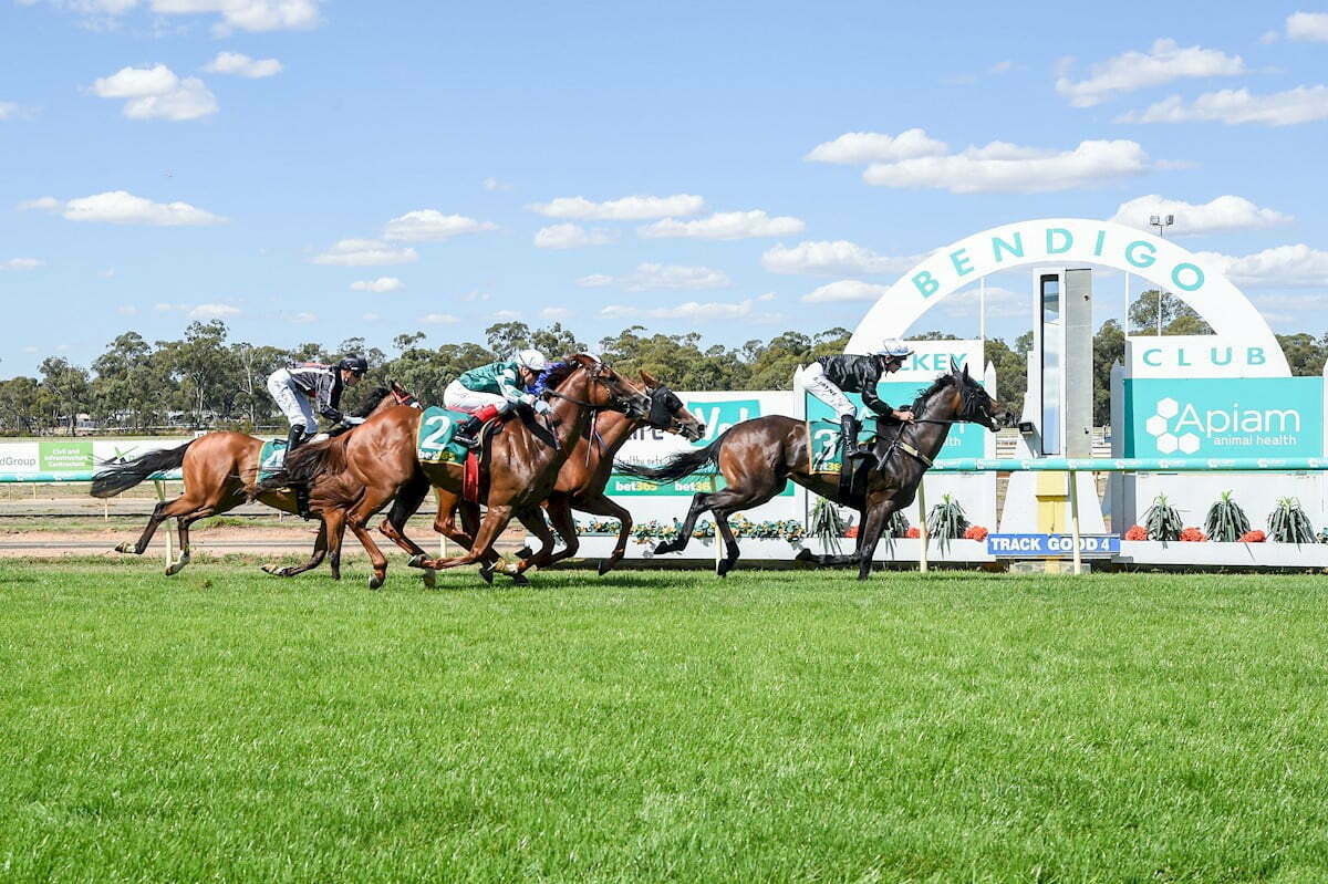 Bendigo - Expert Horse Racing Tips