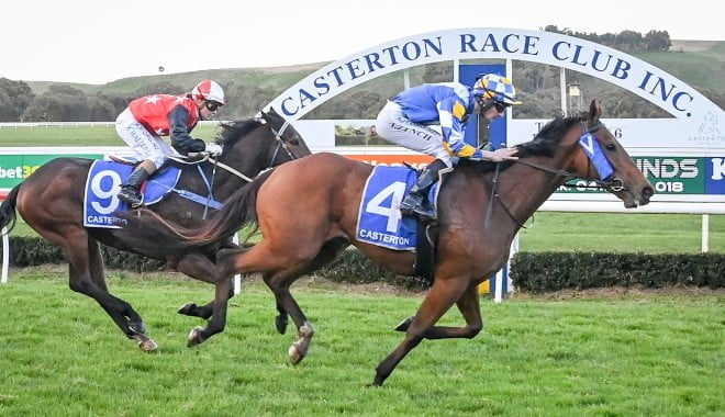 Casterton - Horse Racing Tips