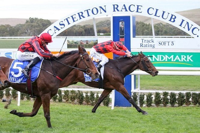 Casterton - Horse Racing Tips