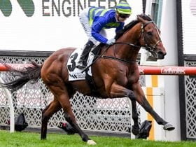 Alister Clark Stakes - Moonee Valley Racing Tips