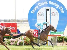 Stony Creek Racing Club - Horse Racing Tips