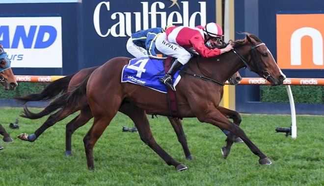 Showmanship - Caulfield Racing Tips